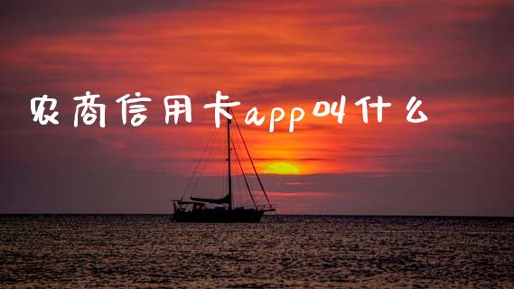 农商信用卡app叫什么_https://wap.yjjixie.cn_港股行情_第1张