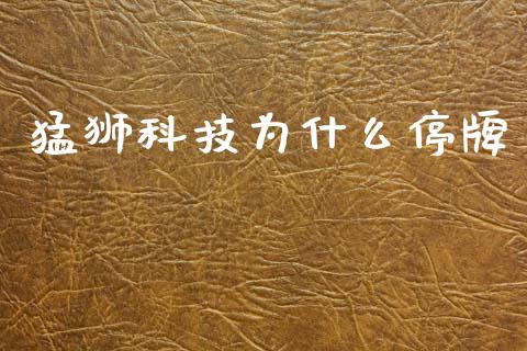猛狮科技为什么停牌_https://wap.yjjixie.cn_商业资讯_第1张