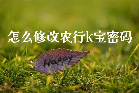 怎么修改农行k宝密码_https://wap.yjjixie.cn_港股行情_第1张