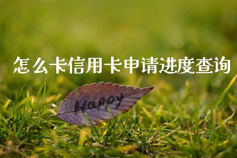 怎么卡信用卡申请进度查询_https://wap.yjjixie.cn_商业资讯_第1张
