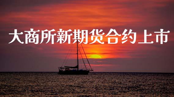 大商所新期货合约上市_https://wap.yjjixie.cn_证券市场_第1张