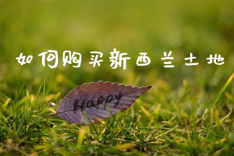 如何购买新西兰土地_https://wap.yjjixie.cn_港股行情_第1张