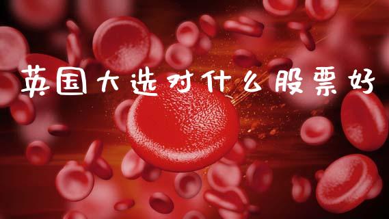 英国大选对什么股票好_https://wap.yjjixie.cn_保险理财_第1张