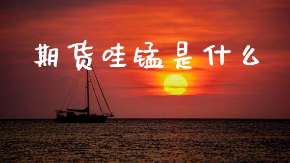 期货哇锰是什么_https://wap.yjjixie.cn_港股行情_第1张