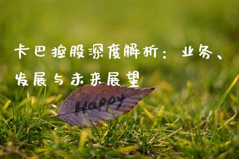 卡巴控股深度解析：业务、发展与未来展望_https://wap.yjjixie.cn_商业资讯_第1张
