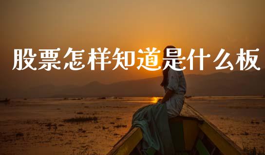 股票怎样知道是什么板_https://wap.yjjixie.cn_商业资讯_第1张