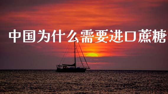 中国为什么需要进口蔗糖_https://wap.yjjixie.cn_证券市场_第1张