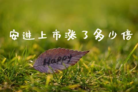 安进上市涨了多少倍_https://wap.yjjixie.cn_港股行情_第1张