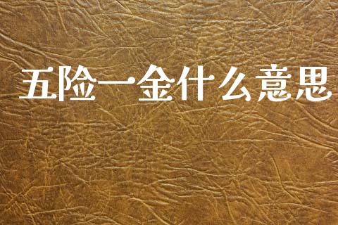 五险一金什么意思_https://wap.yjjixie.cn_保险理财_第1张