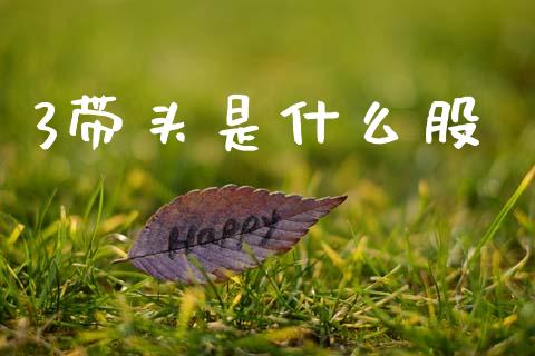 3带头是什么股_https://wap.yjjixie.cn_证券市场_第1张