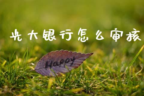 光大银行怎么审核_https://wap.yjjixie.cn_保险理财_第1张