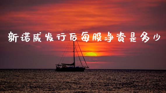 新诺威发行后每股净资是多少_https://wap.yjjixie.cn_商业资讯_第1张