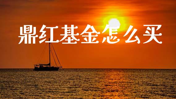 鼎红基金怎么买_https://wap.yjjixie.cn_保险理财_第1张