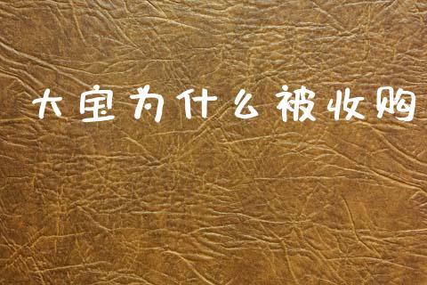 大宝为什么被收购_https://wap.yjjixie.cn_港股行情_第1张