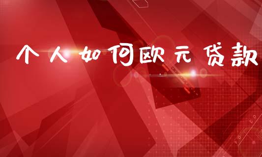 个人如何欧元贷款_https://wap.yjjixie.cn_保险理财_第1张