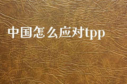 中国怎么应对tpp_https://wap.yjjixie.cn_证券市场_第1张