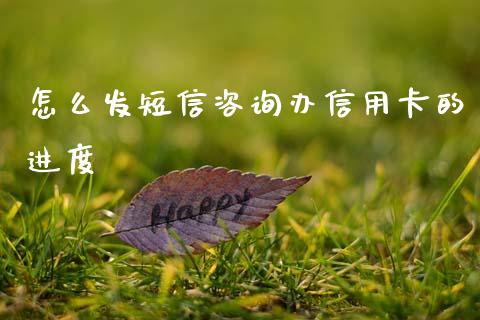 怎么发短信咨询办信用卡的进度_https://wap.yjjixie.cn_商业资讯_第1张