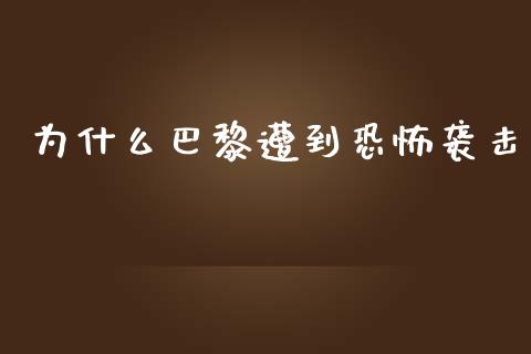 为什么巴黎遭到恐怖袭击_https://wap.yjjixie.cn_港股行情_第1张