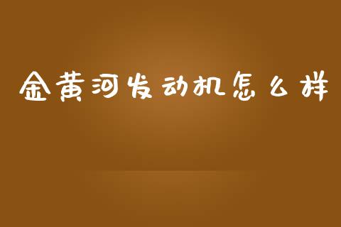金黄河发动机怎么样_https://wap.yjjixie.cn_保险理财_第1张