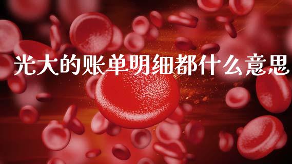 光大的账单明细都什么意思_https://wap.yjjixie.cn_保险理财_第1张