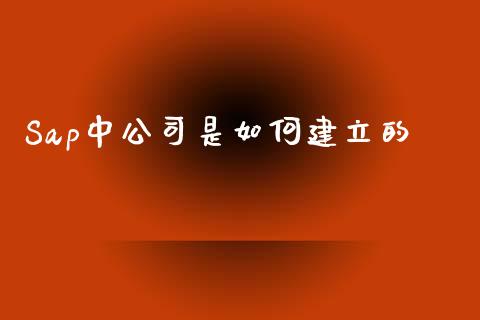 Sap中公司是如何建立的_https://wap.yjjixie.cn_港股行情_第1张