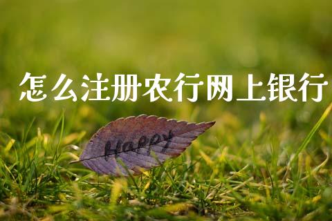 怎么注册农行网上银行_https://wap.yjjixie.cn_保险理财_第1张