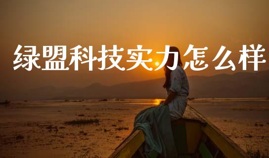 绿盟科技实力怎么样_https://wap.yjjixie.cn_保险理财_第1张