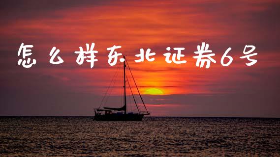 怎么样东北证券6号_https://wap.yjjixie.cn_商业资讯_第1张