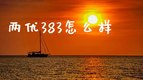 两优383怎么样_https://wap.yjjixie.cn_证券市场_第1张