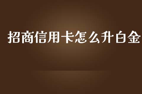 招商信用卡怎么升白金_https://wap.yjjixie.cn_保险理财_第1张