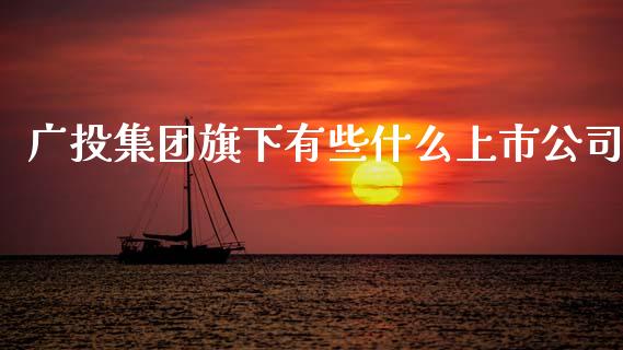 广投集团旗下有些什么上市公司_https://wap.yjjixie.cn_保险理财_第1张