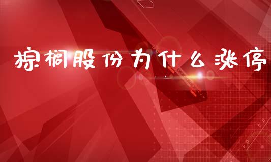 棕榈股份为什么涨停_https://wap.yjjixie.cn_证券市场_第1张