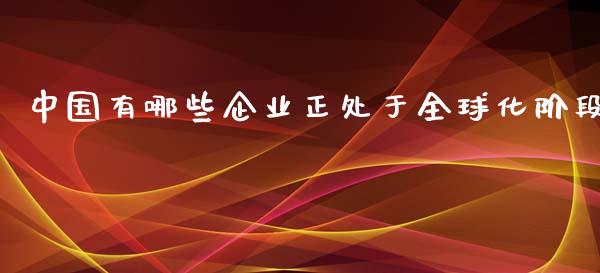 中国有哪些企业正处于全球化阶段_https://wap.yjjixie.cn_保险理财_第1张