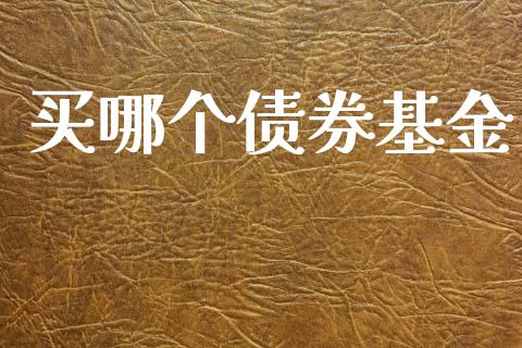 买哪个债券基金_https://wap.yjjixie.cn_港股行情_第1张