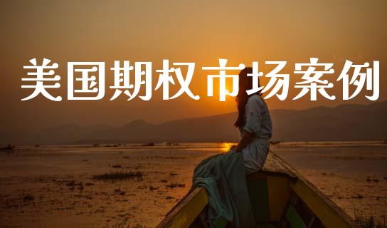 美国期权市场案例_https://wap.yjjixie.cn_证券市场_第1张