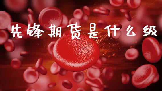 先锋期货是什么级_https://wap.yjjixie.cn_证券市场_第1张