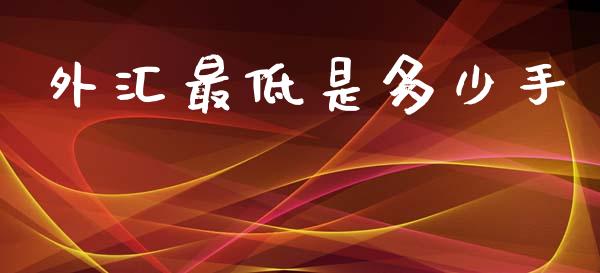 外汇最低是多少手_https://wap.yjjixie.cn_保险理财_第1张