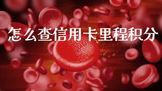 怎么查信用卡里程积分_https://wap.yjjixie.cn_保险理财_第1张