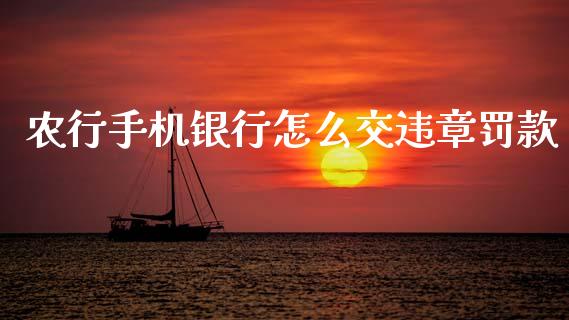 农行手机银行怎么交违章罚款_https://wap.yjjixie.cn_商业资讯_第1张