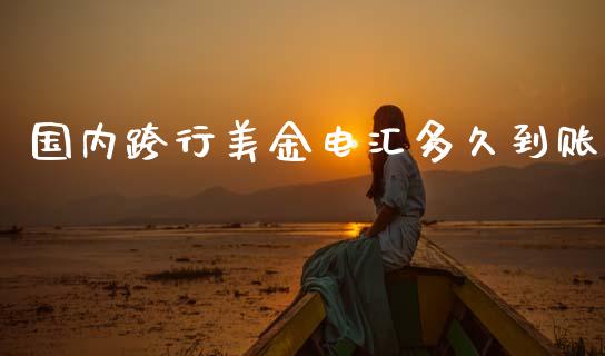 国内跨行美金电汇多久到账_https://wap.yjjixie.cn_证券市场_第1张