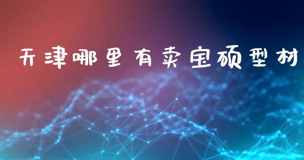 天津哪里有卖宝硕型材_https://wap.yjjixie.cn_证券市场_第1张