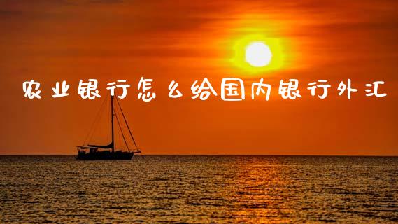 农业银行怎么给国内银行外汇_https://wap.yjjixie.cn_保险理财_第1张