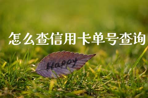 怎么查信用卡单号查询_https://wap.yjjixie.cn_保险理财_第1张