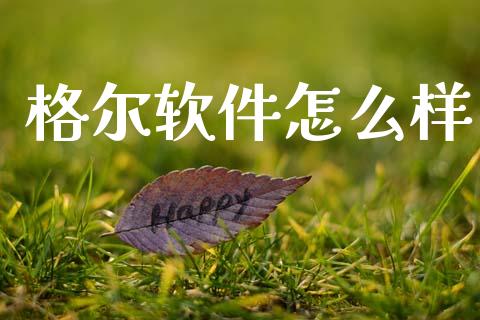 格尔软件怎么样_https://wap.yjjixie.cn_证券市场_第1张