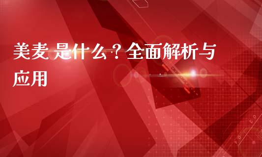 美麦 是什么？全面解析与应用_https://wap.yjjixie.cn_商业资讯_第1张