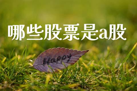 哪些股票是a股_https://wap.yjjixie.cn_港股行情_第1张
