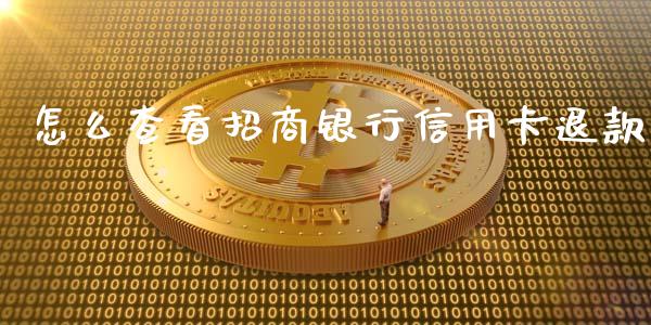 怎么查看招商银行信用卡退款_https://wap.yjjixie.cn_证券市场_第1张