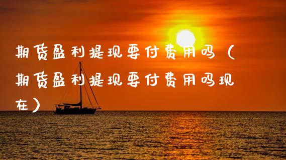 期货盈利提现要付费用吗（期货盈利提现要付费用吗现在）_https://wap.yjjixie.cn_港股行情_第1张