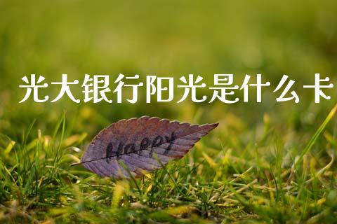 光大银行阳光是什么卡_https://wap.yjjixie.cn_证券市场_第1张