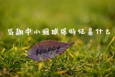 贷款中小组联保特征是什么_https://wap.yjjixie.cn_港股行情_第1张
